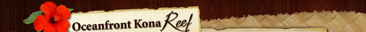 Oceanfront Kona Reef
